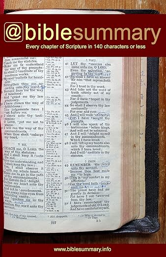 Bible Summary book